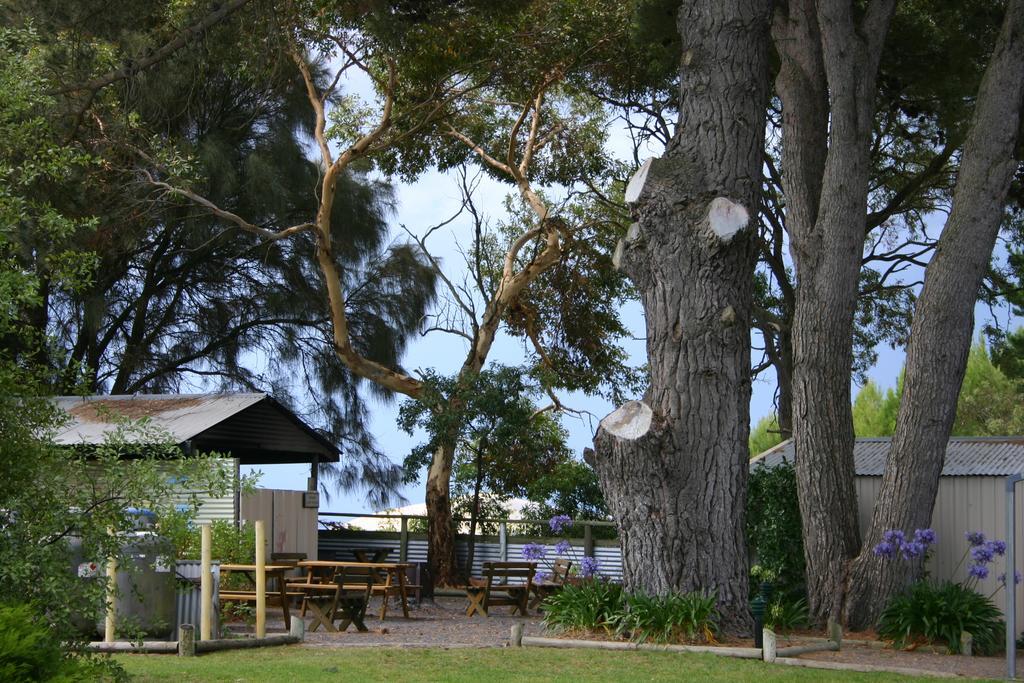 Millicent Hillview Caravan Park Exterior photo