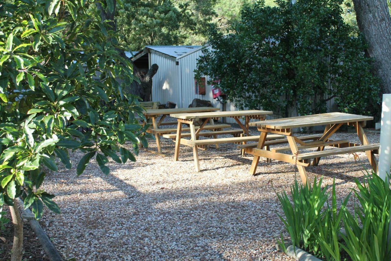 Millicent Hillview Caravan Park Exterior photo